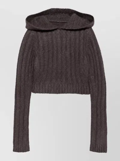 Rick Owens Ribbed Cashmere Silk Cropped Hoodie In Brown