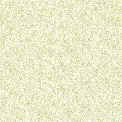 Rifle Paper Co Champagne Dots 27' X 27" Wallpaper Roll In Gold,white