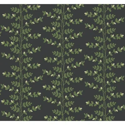 Rifle Paper Co Climbing Vine Wallpaper In Black