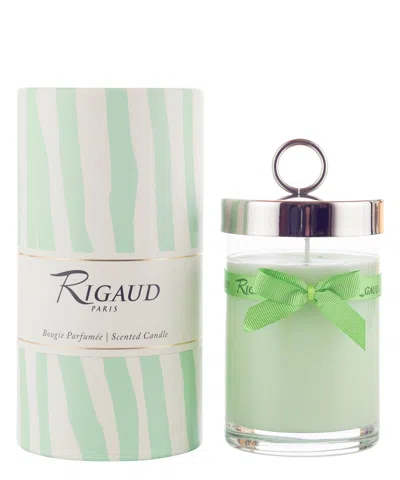 Rigaud Paris Jasmin De Printemps Large Candle 230 G In Green