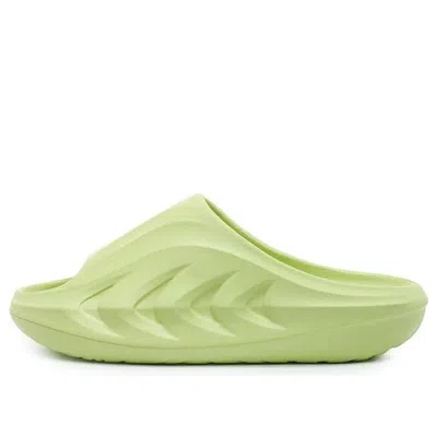 Rigorer Mini Shark 'green'