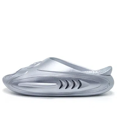Rigorer Shark 2 'sliver'