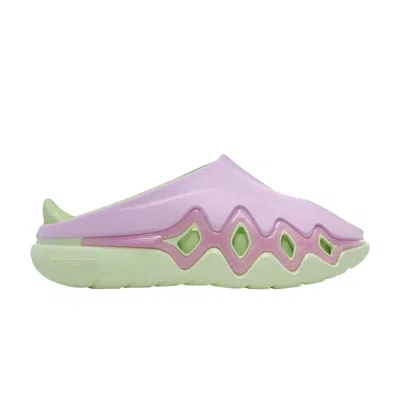 Pre-owned Rigorer Shark 3 Slide 'purple' | Men's Size 6.5