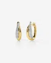 Ring Concierge Double Row Diamond Hoops