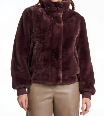 Rino And Pelle Ambra Jacket In Chocolate Bean In Brown