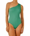 Rio De Jas Isis One-shoulder Swimsuit In Rosemary Green In Multi