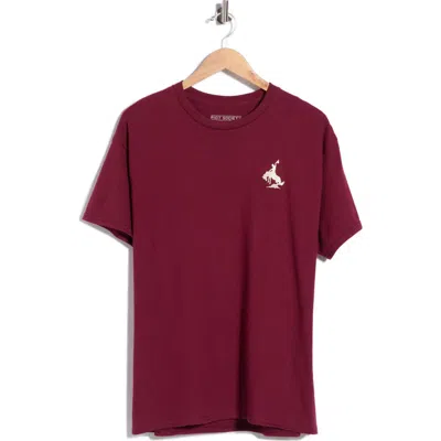 Riot Society Bucking Bronco Embroidered Tee In Multi