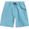 Rip Curl Kids' Board Walk Jackson Volley Swim Trunks In Blue