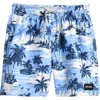 Rip Curl Kids' Dreamers Volley Swim Trunks In Blue