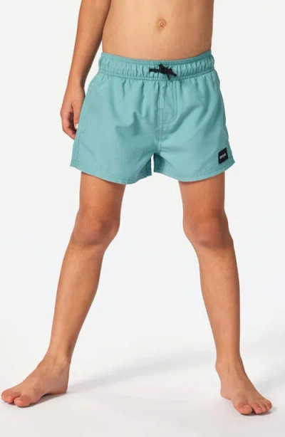 Rip Curl Kids' Offset Volley Swim Trunks In Blue