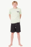 Rip Curl Kids' Shred 'til Dead Graphic T-shirt In Pastel Green
