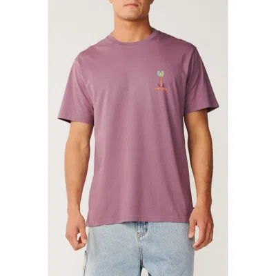 Rip Curl Pacific Rinse Cotton Graphic T-shirt In Multi