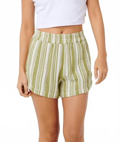 Rip Curl Premium Surf Shorts In Olive Stripe In Multi