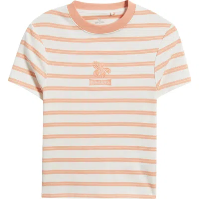 Rip Curl Stripe Embroidered Fitted T-shirt In Multi