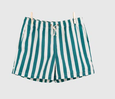 Ripa Ripa Paraggi Verde Swim Shorts In Green