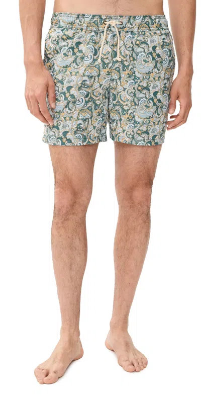 Ripa Ripa The Swimshorts Green/mustard