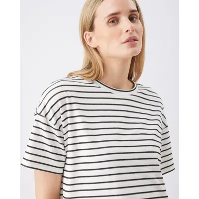 Ripe Maternity Jada Stripe Nursing Tee In White
