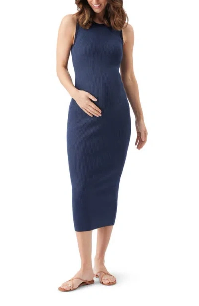 Ripe Maternity Noa Rib Knit Nursing Dress In Blue