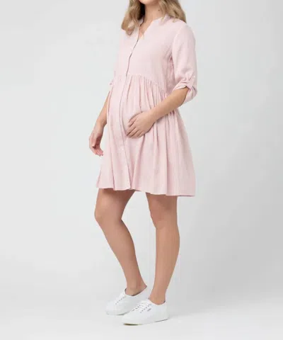 Ripe Maternity Sam Stripe Dress In Terracotta In Terracotta/white