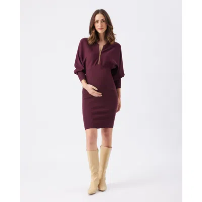 Ripe Maternity Stylish Maroon Zip Knit Nursing Dress For Comfortable Maternity Wear In Burgundy