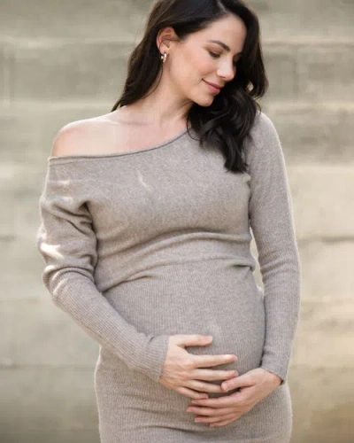 Ripe Maternity Tobie Off Shoulder Knit Dress Mocha In Multi