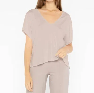 Ripley Rader Everyday V Neck Top In Clay In Gray