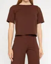 Ripley Rader Ponte Knit Short Sleeve Extended In Chocolate In Gold