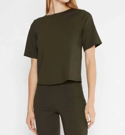 Ripley Rader Ponte Knit Short Sleeve Top In Olive In Green