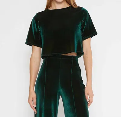 Ripley Rader Velvet Short Sleeve Top In Emerald In Gold