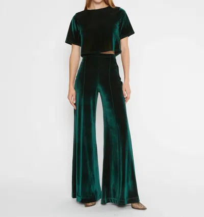 Ripley Rader Velvet Wide Leg Pant In Emerald In Gold