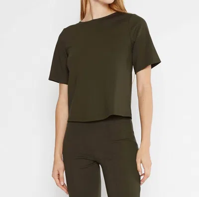 Ripley Rader Women's Ponte Knit Short Sleeve Top Extended In Olive In Multi