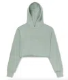 Ripndip Women's Angels Cropped Hoodie In Sage Green In Multi