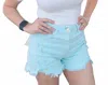 Risen Devon High Rise Shorts In Mint In Blue