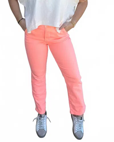 Risen Livin In A Barbie World Jeans In Pink