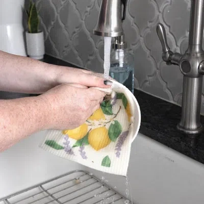 Ritz Sponge Dish Cloth