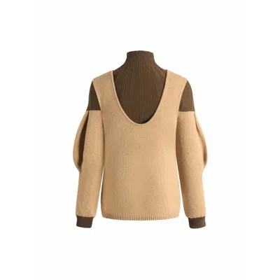 Riverpeace.co Women's Brown Sculpted Soft Knit Top