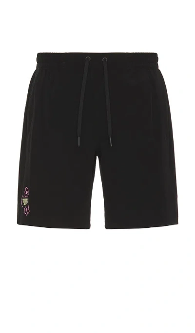 Rivvia Projects Bouquet Daily Ride Short In Black