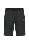 Rivvia Projects Logger 18 Maze Trunk