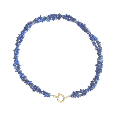 Rize Women's Blue / Purple / Gold Lapis Lazuli Twist Necklace - Gold Plated