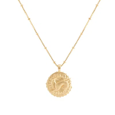 Rize Women's Capricorn Zodiac Manifesting Necklace *double Sided* - Gold Vermeil