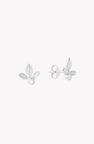 Rizen Jewelry Olive Leaf Stud Earring In Metallic