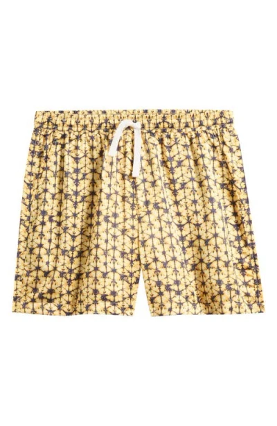 Rizort Fiz Drawstring Shorts In Brown