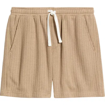 Rizort Hunter Knit Drawstring Shorts In Brown
