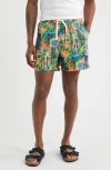 Rizort Palm Shorts In Multi