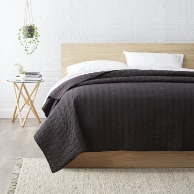 Rizzy Home Single Reversible Quilt In Black