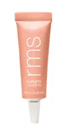 Rms Beauty Eyelights Cream Eyeshadow Crystal Slipper In Silver