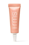 Rms Beauty Eyelights Cream Eyeshadow In Silver