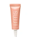 Rms Beauty Eyelights Cream Eyeshadow In Silver
