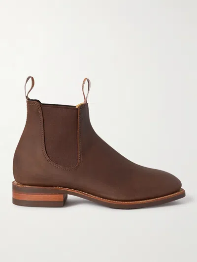 R.m.williams Comfort Craftsman Suede Chelsea Boots In Brown