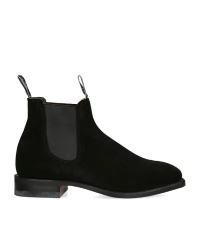 R.m.williams Comfort Craftsman Suede Chelsea Boots In Black